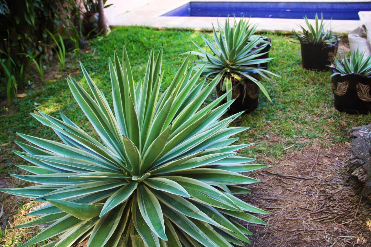 Amaxing Cancun Airport エクステリア 写真